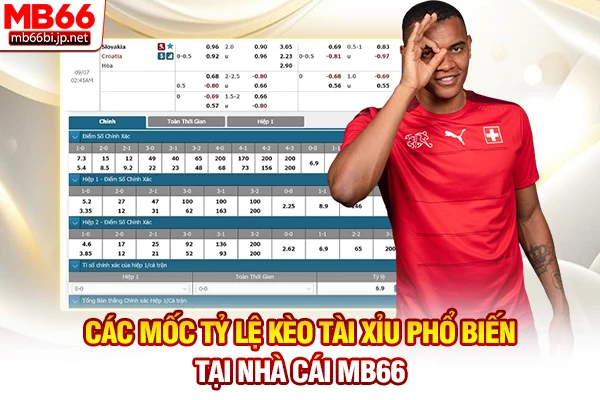 Tỷ Lệ Kèo Tài Xỉu - Cách Đọc Kèo Trên Dưới Chuẩn Xác 4 Các mốc tỷ lệ kèo Tài Xỉu phổ biến tại nhà cái MB66