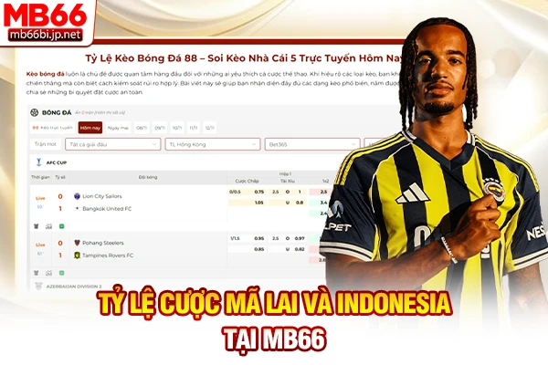 Tỷ Lệ Kèo Nhà Cái: Cách Đọc Bảng Cược Chuẩn Xác 5s 4 Tỷ lệ cược Mã Lai và Indonesia tại MB66